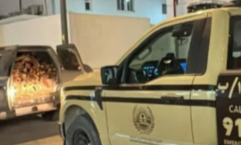 ضبط مخالفة نقل الحطب المحلي بالرياض: جهود الأمن البيئي تتواصل