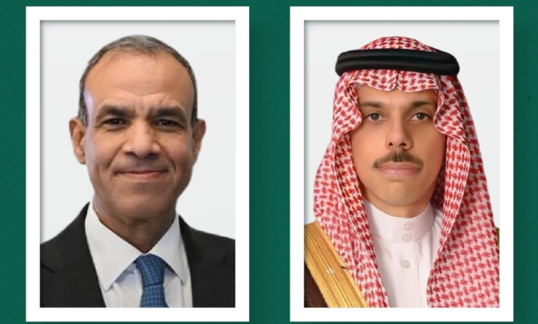 بحث جهود وقف التصعيد في المنطقة بين وزيري خارجية السعودية ومصر