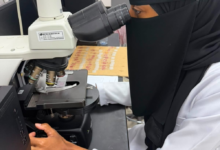 تصدير الأحياء المائية السعودية: إنجاز جديد يتماشى مع رؤية 2030