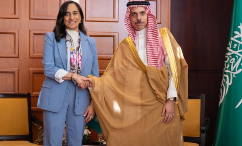 وزير الخارجية يبحث التطورات في المنطقة مع نظيرته الكندية