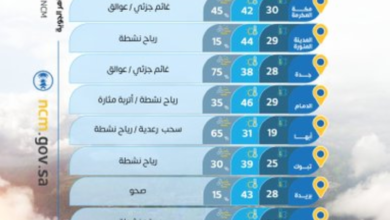 طقس السعودية: تحذيرات من رياح وأتربة على 7 مناطق اليوم