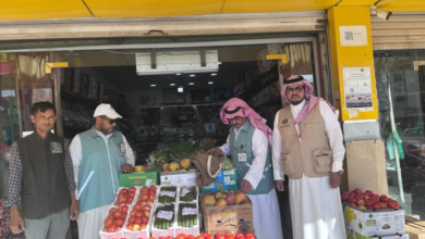 مخاطر استخدام المبيدات: ورشة عمل بالخرمة لتعزيز سلامة الغذاء