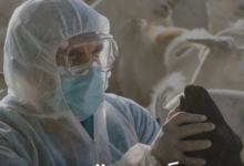 مرض اللسان الأزرق: دليلك للوقاية وإجراءات مركز وقاء