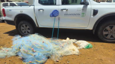 جولات رقابية بحرية برابغ: حماية الثروة السمكية وضبط مخالفات