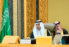 تعزيز الربط الجوي وزيادة حركة الترانزيت: قرار من الشورى