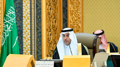 تعزيز الربط الجوي وزيادة حركة الترانزيت: قرار من الشورى