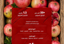 إنتاج الرمان في السعودية: أرقام قياسية تدعم الأمن الغذائي