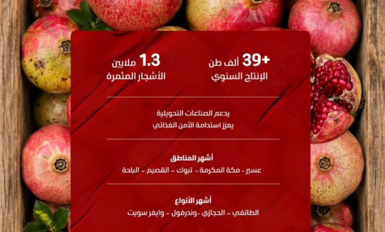 إنتاج الرمان في السعودية: أرقام قياسية تدعم الأمن الغذائي
