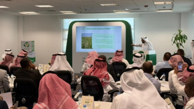 استدامة القمح ودوره في تحقيق الأمن الغذائي في المملكة