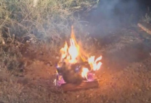 ضبط مخالفة إشعال النار في محمية الإمام فيصل بن تركي الملكية