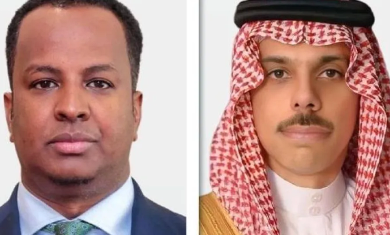 السعودية تؤكد دعمها لسيادة وأمن واستقرار الصومال