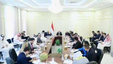 العليمي: رحلة الحرس الثوري لصنعاء خرق للسيادة اليمنية