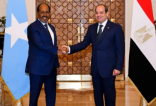 مصر تدعم وحدة الصومال وتؤكد على أمن البحر الأحمر