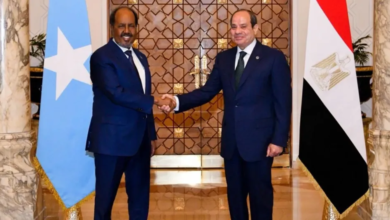 مصر تدعم وحدة الصومال وتؤكد على أمن البحر الأحمر