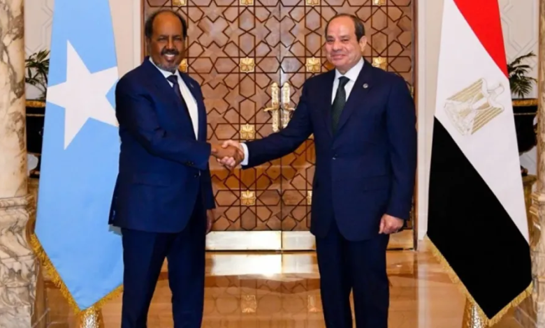 مصر تدعم وحدة الصومال وتؤكد على أمن البحر الأحمر