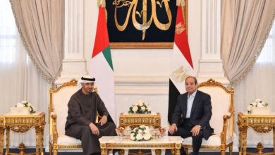 التنسيق المصري الإماراتي لتجنب التصعيد في الشرق الأوسط