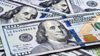 سعر الدولار في مصر اليوم: الأخضر يقترب من 50 جنيهاً