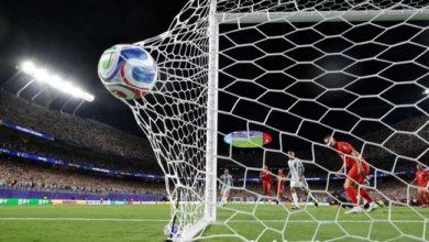 بيع عشب نهائي كأس العالم 2026: امتلك قطعة من التاريخ