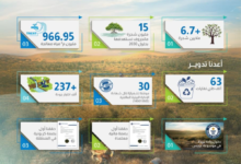 الاستدامة البيئية في السعودية: إنجازات شركة المياه الوطنية