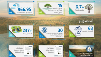 الاستدامة البيئية في السعودية: إنجازات شركة المياه الوطنية