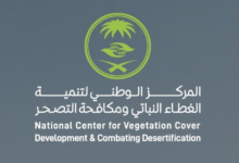 فرص استثمارية بالغطاء النباتي في السعودية: 7000 وظيفة بعوائد 16%
