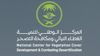 فرص استثمارية بالغطاء النباتي في السعودية: 7000 وظيفة بعوائد 16%