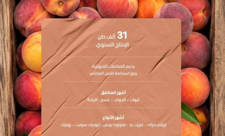 إنتاج الخوخ المحلي يغزو الأسواق السعودية بأكثر من 31 ألف طن