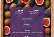 الإنتاج المحلي من فاكهة التين بالسعودية يسجل 29.6 ألف طن