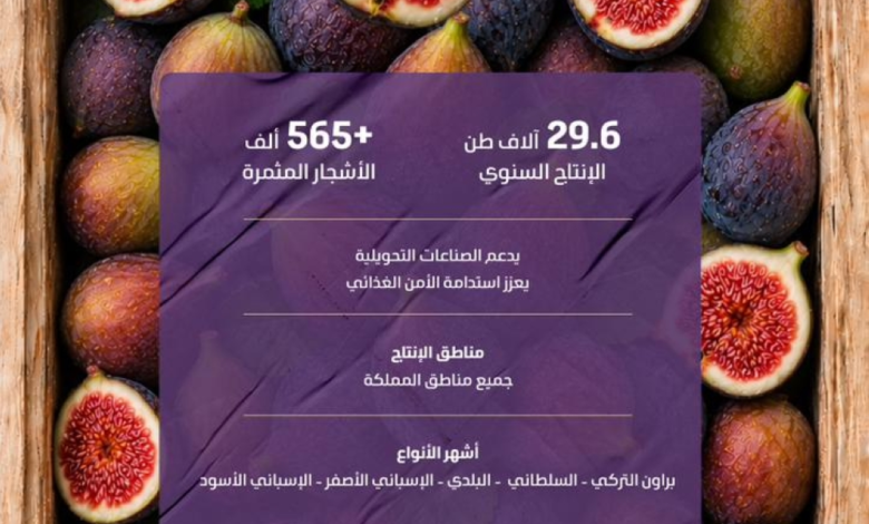 الإنتاج المحلي من فاكهة التين بالسعودية يسجل 29.6 ألف طن
