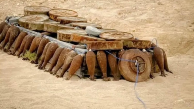 مشروع مسام: نزع أكثر من 1200 لغم في اليمن وتأمين حياة المدنيين