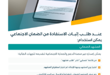طريقة استخراج المشهد الضماني إلكترونياً عبر منصة الدعم