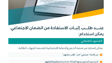 طريقة استخراج المشهد الضماني إلكترونياً عبر منصة الدعم