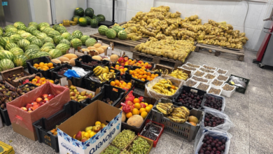 مصادرة فواكه وخضار في عسير: ضبط 3 أطنان مجهولة المصدر