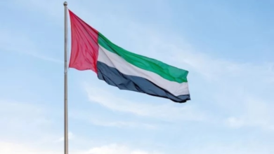 الإمارات تؤكد دعمها الكامل لضمان أمن واستقرار المملكة