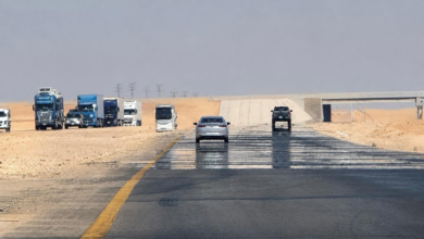 جمرة القيظ في السعودية: متى تبدأ وما هي خصائصها؟