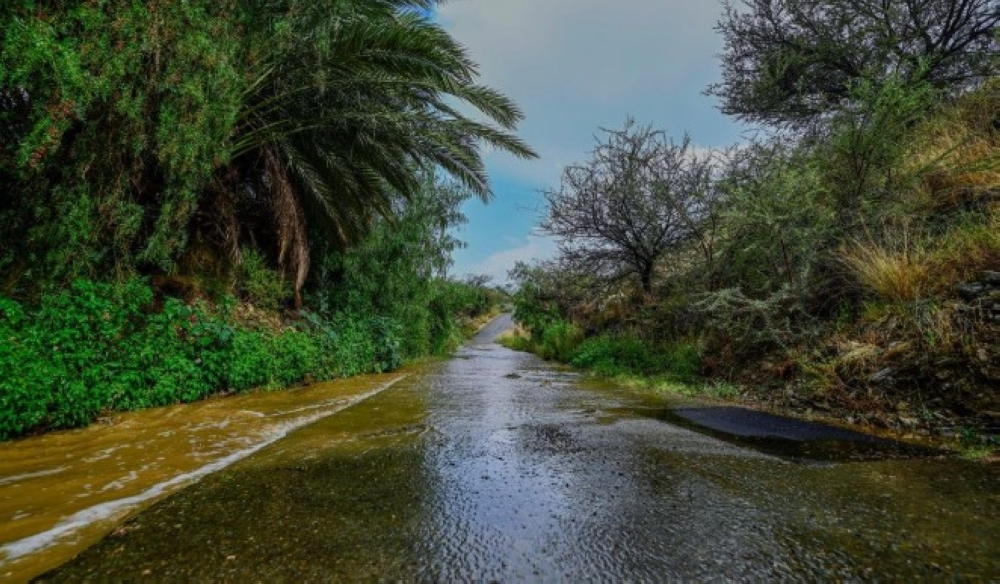 حتى 8 مساءً.. أمطار ورياح نشطة على نجران والباحة وشرورة - أرشيفية
