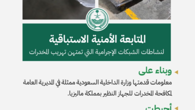 معلومات سعودية تُحبط تهريب أكثر من 505 كيلوجرامات من الكيتامين في ماليزيا - الداخلية