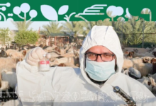 إطلاق النسخة الرابعة من برنامج الدعم الفني لـ