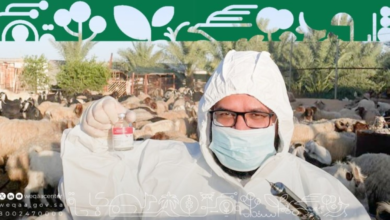 إطلاق النسخة الرابعة من برنامج الدعم الفني لـ