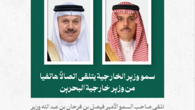 وزير الخارجية ونظيره البحريني يبحثان تطورات الأوضاع في المنطقة - الخارجية