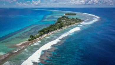 الأمم المتحدة تحذر من تسارع ارتفاع مستوى سطح البحر بفعل تغير المناخ - وكالات
