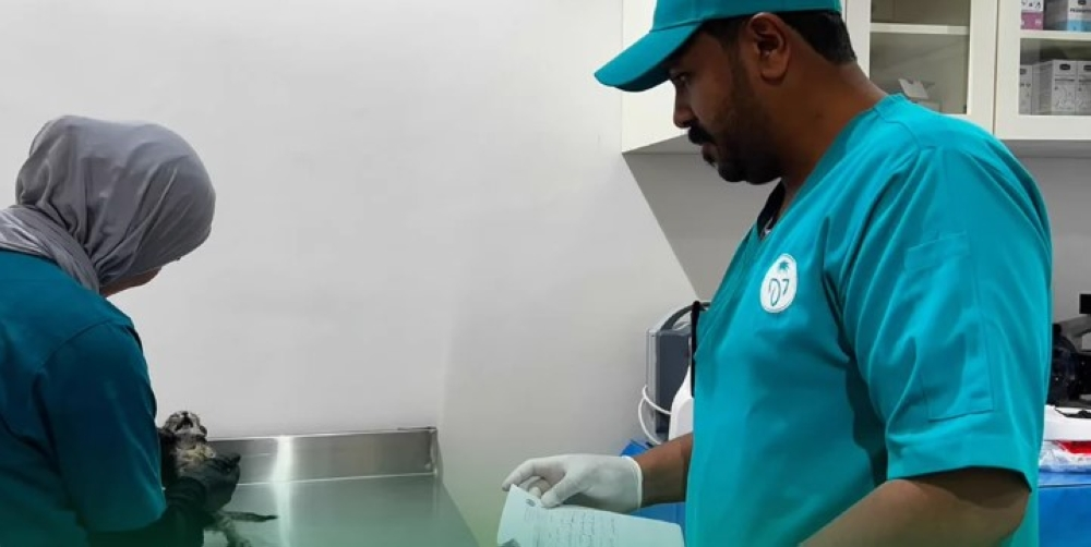 «وقاء» ينفذ 10,698 زيارة رقابية للمنشآت الحيوانية والبيطرية - اليوم