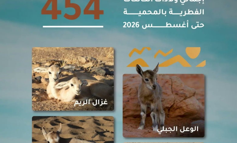 454 ولادة بمحمية الملك سلمان الملكية تؤكد نجاح برامجها البيئية