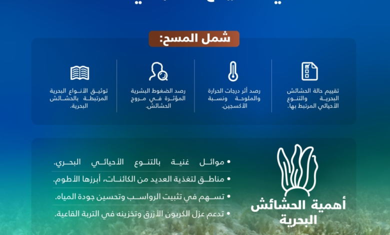 مسح للحشائش البحرية على ساحل الخليج السعودي يرصد موائل الأطوم - إكس