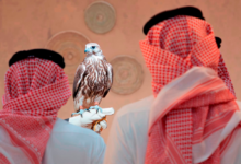 غدًا.. مزاد المركز الوطني للصقور يبدأ استقبال صقور الطرح المحلي