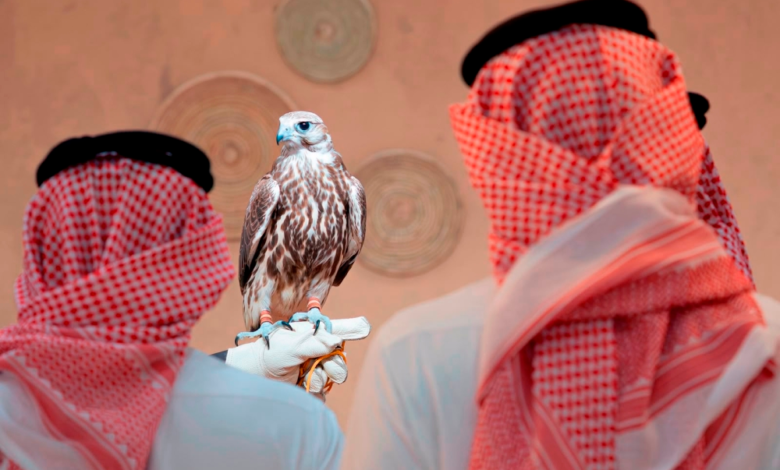 غدًا.. مزاد المركز الوطني للصقور يبدأ استقبال صقور الطرح المحلي