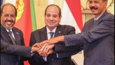 قمة