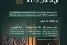 في يومه العالمي.. ديوان المظالم ينصف معلمًا في استحقاق مكافأة المناطق الجبلية - ديوان المظالم