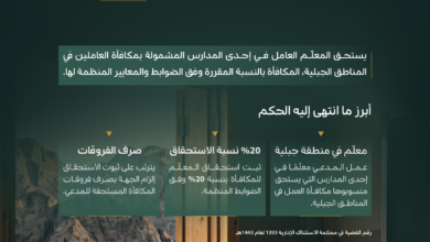 في يومه العالمي.. ديوان المظالم ينصف معلمًا في استحقاق مكافأة المناطق الجبلية - ديوان المظالم